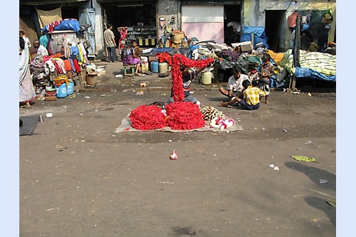 Viaggio in India 2008 - Calcutta